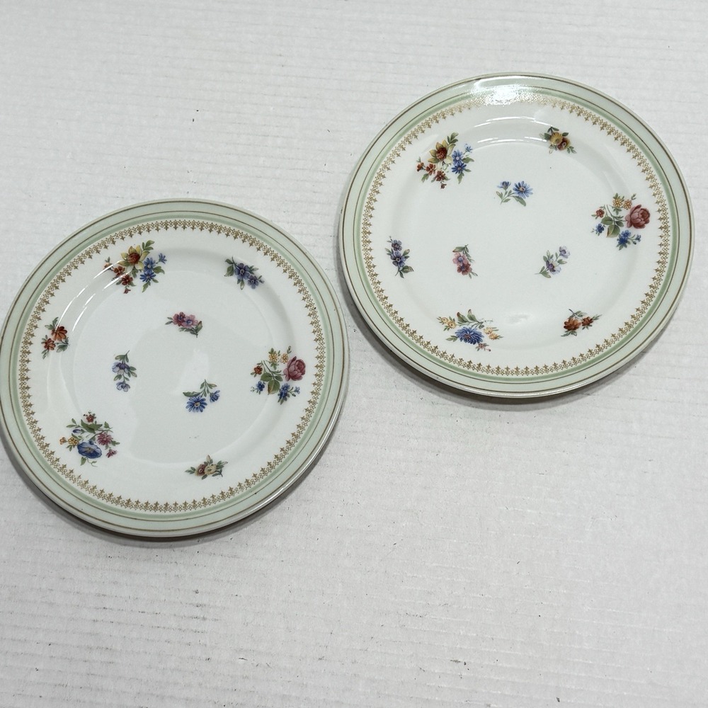 2 Charles Ahrenfeldt Limoges Salad Lunch Plates France Flowers Wild Pink Purple